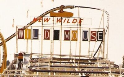 The Wild Mouse